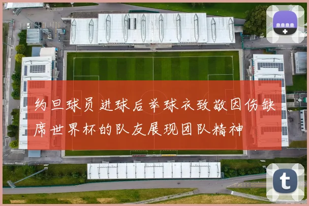约旦球员进球后举球衣致敬因伤缺席世界杯的队友展现团队精神