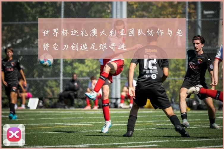 世界杯巡礼澳大利亚团队协作与老将合力创造足球奇迹